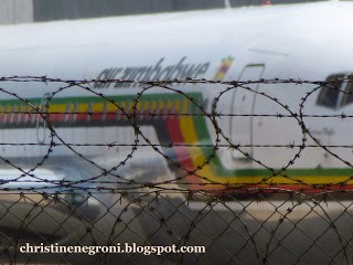 What a Dying Airline Looks Like