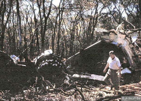 An unidentified official at the scene in the forest where the DC-6 came down killing the UN Secretary General and fourteen others. The sole survivor of the crash died in the hospital six days later.